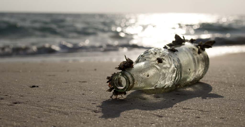 Près de 300.000 tonnes de déchets plastiques flotteraient dans nos océans. Des déchets qui survivent là pendant des centaines d’années, mettant en péril les écosystèmes. © THANAGON, Fotolia