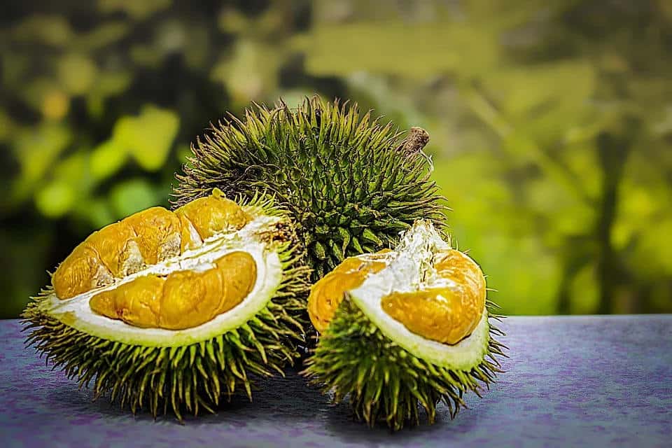 Surnommé « le roi des fruits », le durian sent horriblement mauvais mais son goût est exquis. © Pixabay