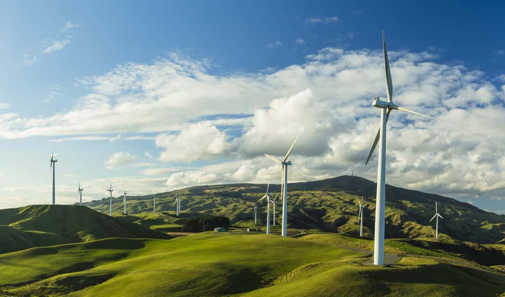 Parc éolien de Te Apiti, situé dans l'île du Nord de la Nouvelle-Zélande. © pespiero, Adobe Stock.