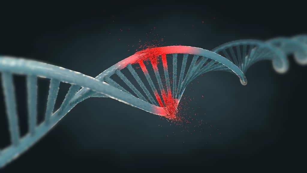 La génétique est impliquée dans la survenue de certaines maladies. © Christoph Burgstedt, Fotolia