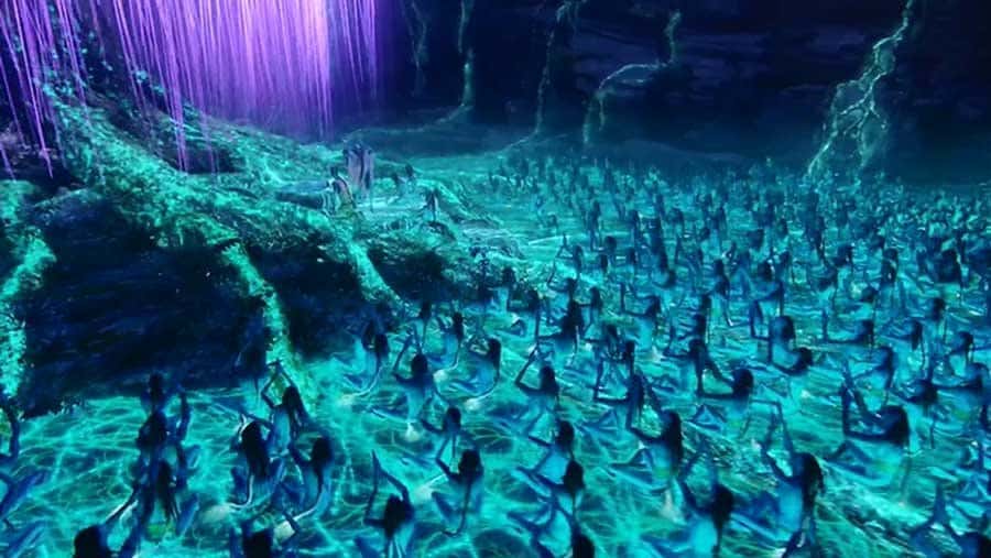 Le concept séduisant de réseau mycorhizien pourrait avoir inspiré le monde artistique qui l'a par la suite popularisé auprès d'une large audience, comme ici dans le film <em>Avatar</em> de James Cameron (2009). © 20th Century Fox 
