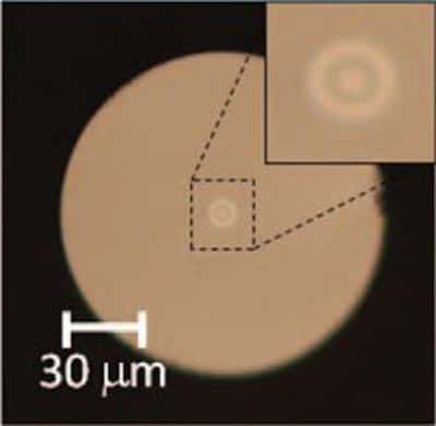 Une coupe de la fibre optique permettant de transmettre des signaux avec différents modes OAM. Comme expliqué dans le texte on voit un disque central avec un anneau. Les ondes se propagent avec différentes vitesses de phase dans ces structures. © Nenad Bozinovic <em>et al.</em><em>,</em><em> Science</em>