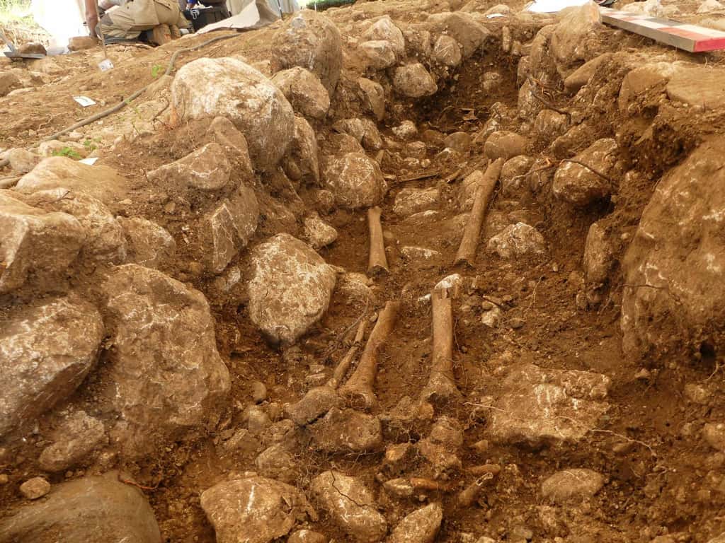 Les archéologues ont découvert 80 tombes datées de l'époque mérovingienne qu'ils ont examinées pendant plusieurs mois. © Inrap