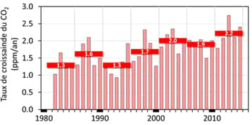 Taux de croissance annuel du CO<sub>2</sub> atmosphérique à l’île d’Amsterdam. Les barres rouges indiquent les taux de croissance moyennés sur des périodes de 5 ans. © M. Ramonet