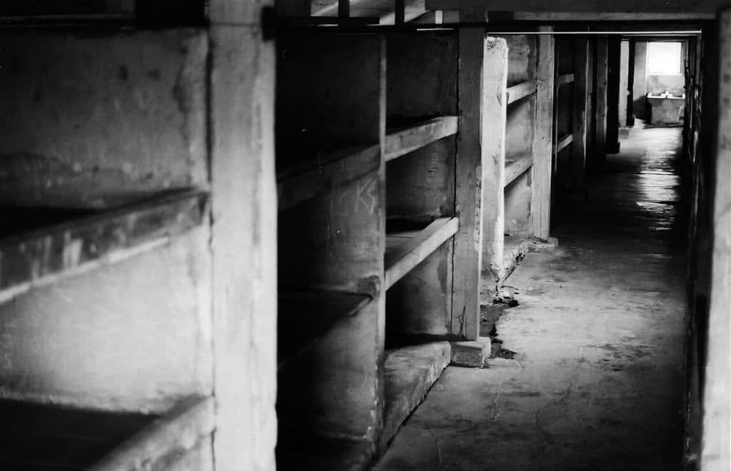 Intérieur d'une baraque au camp d’Auschwitz-Birkenau. Les hommes qui ont survécu aux camps auraient une espérance de vie accrue, une caractéristique que l’on ne retrouve pas chez les femmes. © esterina on silver, Flickr, cc by nc nd 2.0
