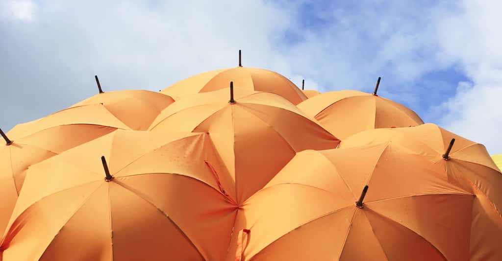 Parmi les idées un peu folles de la géoingénierie : mettre en orbite autour de la Terre des écrans qui pourraient jouer un rôle de parasols… © Catrin Johnson, Unsplash