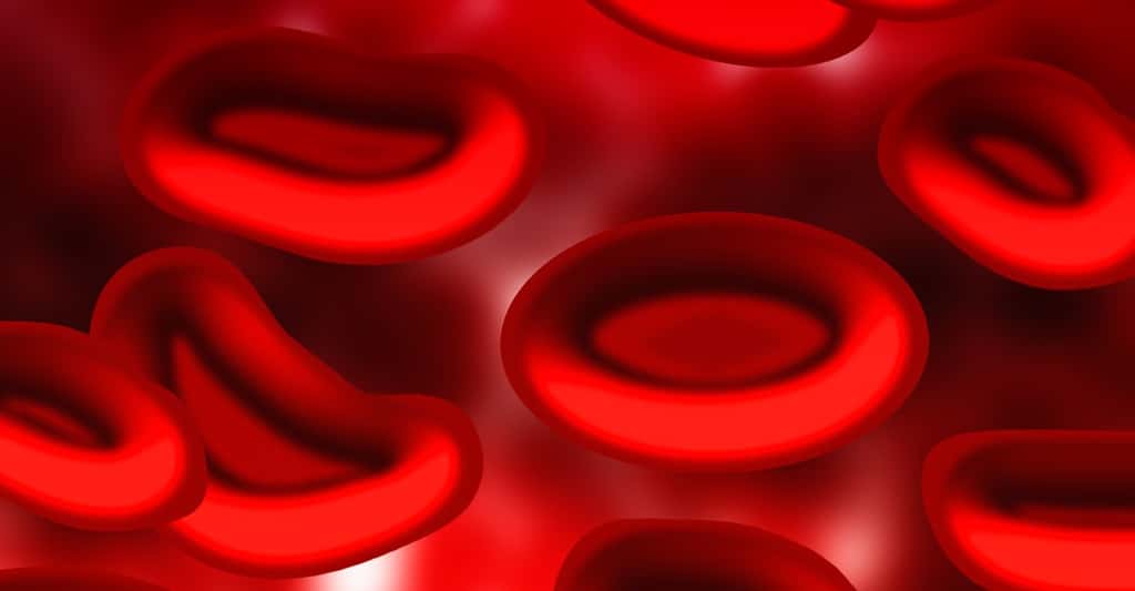 C’est en perturbant le fonctionnement des globules rouges que le monoxyde de carbone peut intoxiquer l’Homme. © geralt, Pixabay, DP