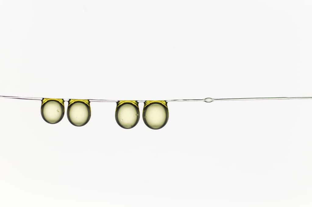 Microphotographie intitulée <em>Olive oil drop famil</em>y montrant des gouttelettes d'huile d'olive suspendues à un fil. © Hervé Elletro, université Pierre-et-Marie-Curie