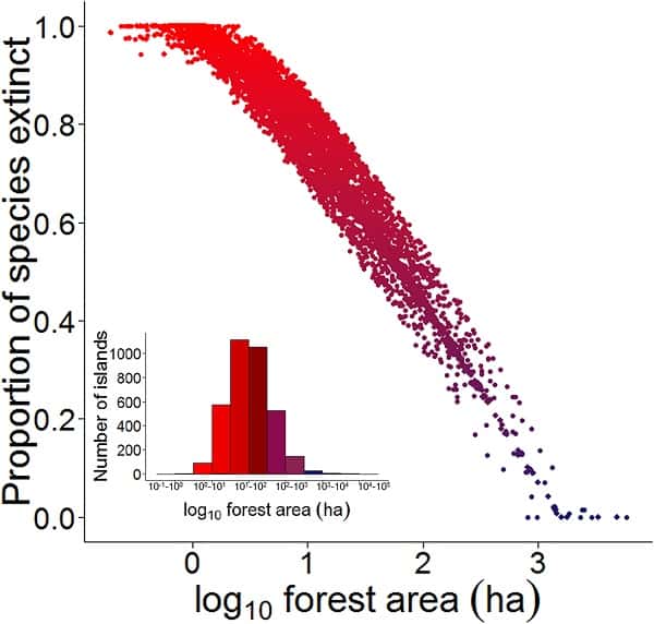 Proportion des espèces de vertébrés forestiers susceptibles d'avoir localement disparu en fonction de la superficie de parcelle de forêt modélisée sur 3.546 îlots forestiers du réservoir hydroélectrique Balbina : plus les îles sont petites en surface, plus le taux d'extinction est élevé (augmentation du bleu au rouge). © Benchimon <em>et al.</em>,<em> Plos One</em>