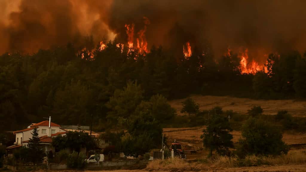 Incendie déclaré à proximité de la ville de Kyrynthos, en Grèce, le 6 août 2021. © Sotiris Dimitropoulos, AFP