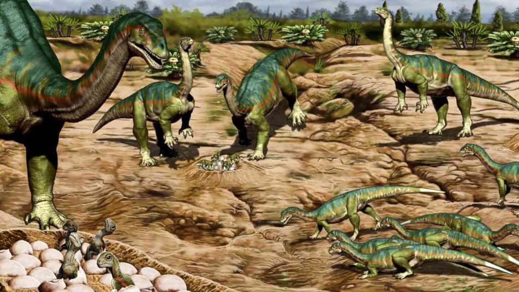 Les <em>Mussaurus patagonicus</em> vivaient vraisemblablement en groupes d'individus de tous âges il y a 193 millions d'années. © Jorge Gonzalez