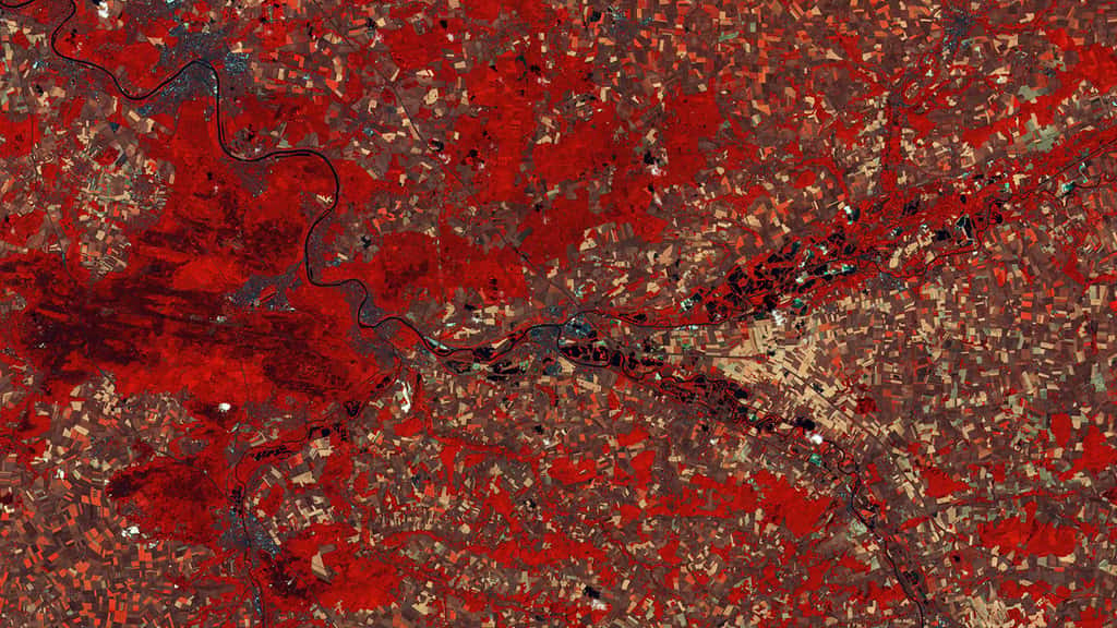 L'Ile-de-France observée par Sentinel 2A en juillet 2015. Les fausses couleurs permettent de rendre les différences plus visibles. ©<em> Copernicus Sentinel data</em>