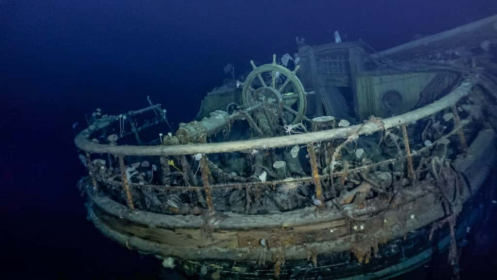 L'épave de l'Endurance dans les profondeurs. © <em>Falklands Maritime Heritage Trust, National Geographic</em>