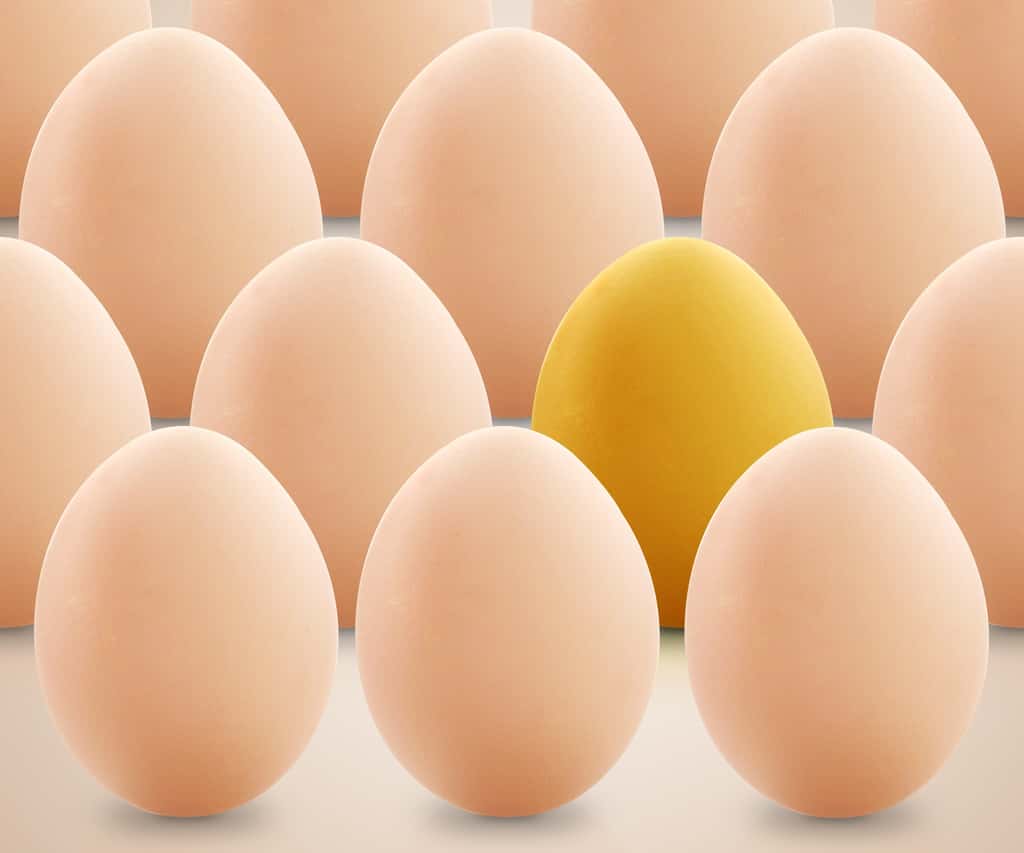  Les croyances ont la vie dure : il existe encore aujourd’hui des concours d’équilibrage d'œufs aux États-Unis. © designsstock, Adobe Stock