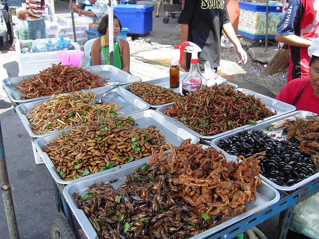 Marché aux insectes en Thaïlande. © Takoradee, <em>Wikimedia commons,</em> CC 3.0