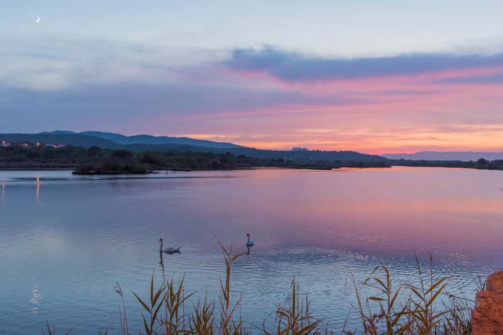 Une zone humide – les étangs de Villepey, en l'occurrence – dévoilant sa beauté cachée au coucher du soleil. © Robin Hacquard 