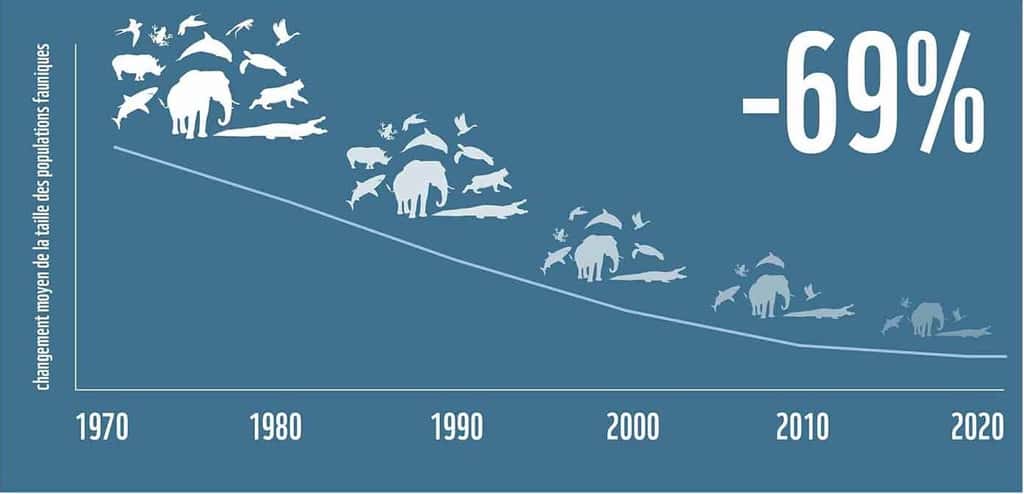 L'indice des planètes vivantes (calculé avec la Société zoologique de Londres) suit les populations de mammifères, d'oiseaux, de poissons, de reptiles et d'amphibiens, et relève une diminution moyenne de 68 % des populations d'espèces sauvages surveillées depuis 1970. L'IPV 2022 a analysé près de 32.000 populations d'espèces. Il fournit la mesure la plus complète de la façon dont ils réagissent aux pressions dans leur environnement. 