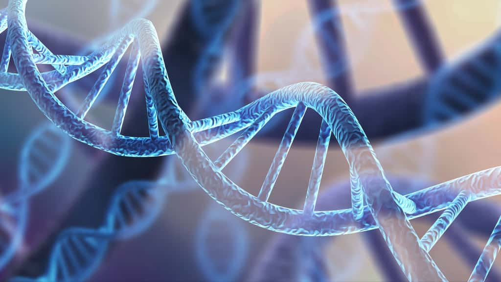 Une nouvelle étude à l'échelle du génome explore le lien génétique entre le cancer colorectal et la consommation de viande rouge ou transformée. © BillionPhotos.com, Adobe Stock