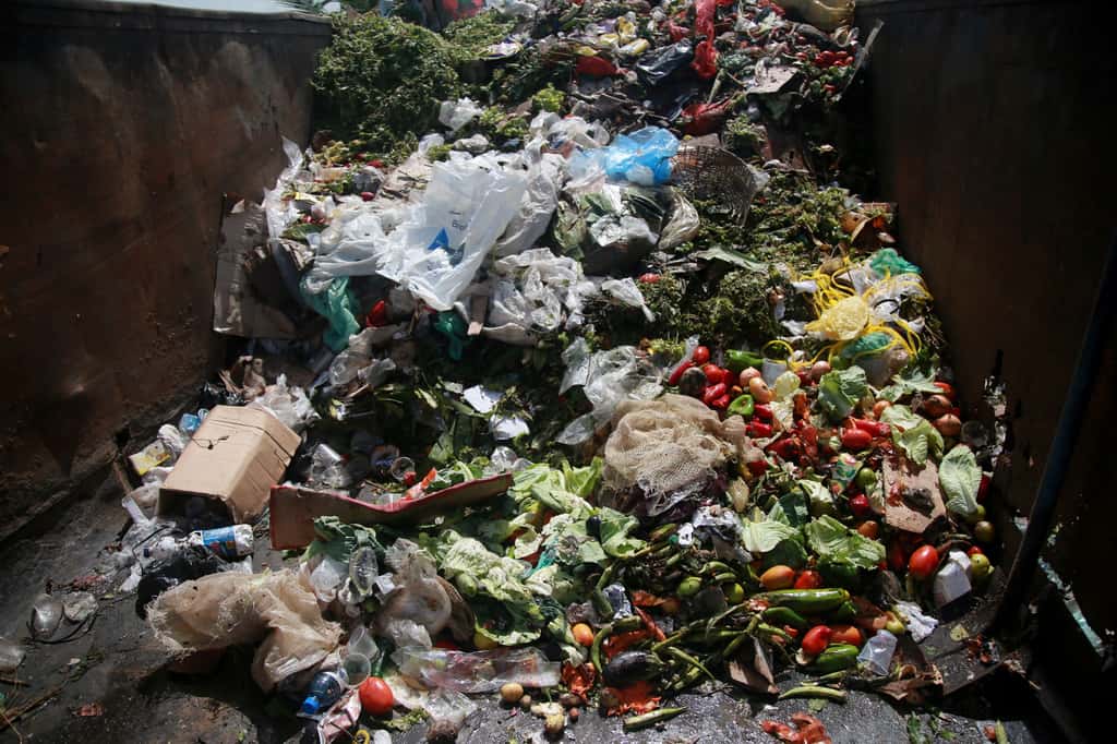  L'objectif du compost serait d'inspirer le consommateur à réfléchir et à modifier son comportement en matière de gaspillage alimentaire. © Joa_Souza, Getty Images