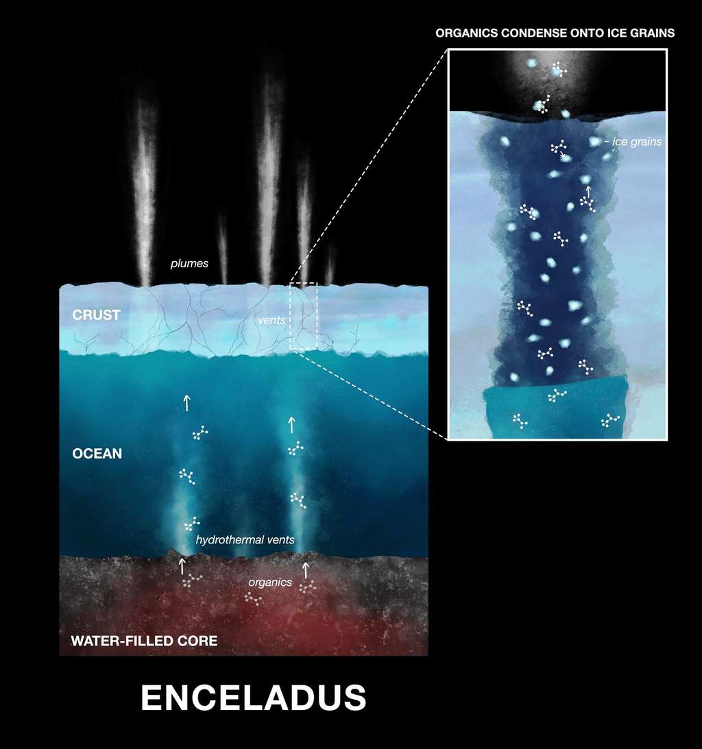Schéma montrant l'océan d'Encelade qui contient de nombreux ingrédients clés du vivant. © Nasa JPL-Caltech