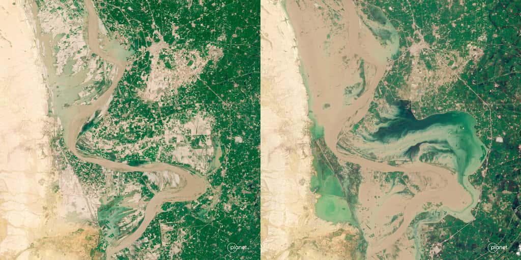 Le fleuve Indus et la ville de Hala dans le sud du Pakistan. L'image de gauche a été acquise le 2 août et celle de droite le 28 août. © Planet Labs PBC