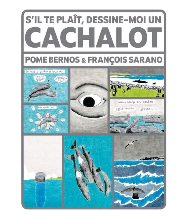 <em>S'il te plaît, dessine-moi un cachalot</em>, Pome Bernos et François Sarand, 2023. © Pome Bernos , éd. Actes Sud - Nature