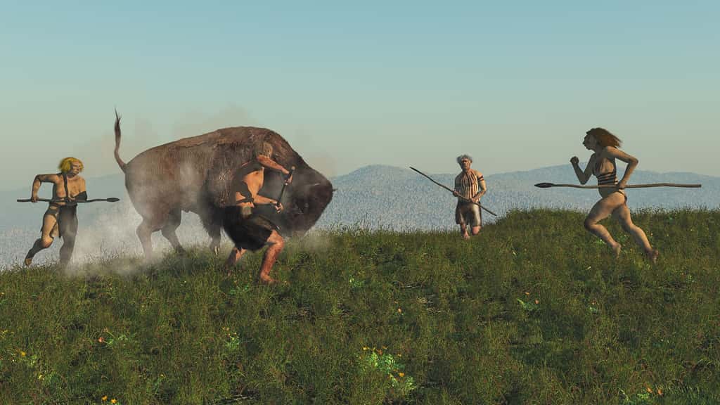 L'Homme de Néandertal, s'il était gros consommateur de viande, se nourrissait également de nombreuses sortes de plantes, qu'il utilisait notamment pour assaisonner ses plats. © nicolasprimola, Fotolia