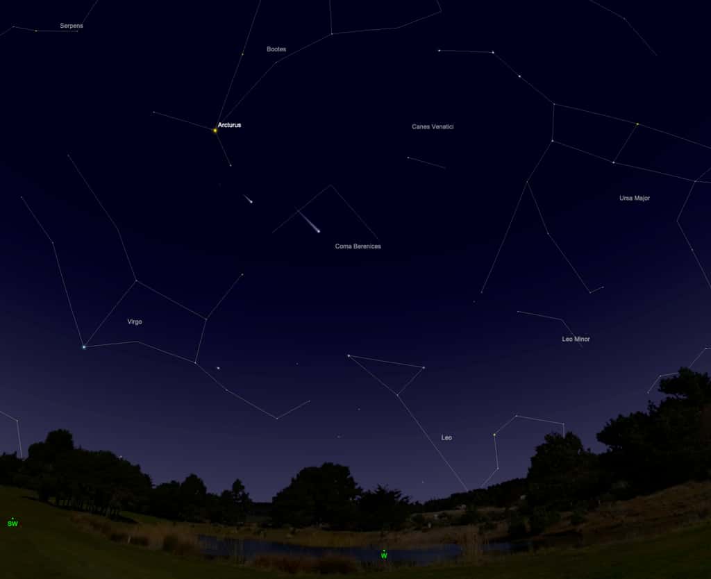 Début août, la comète Neowise sera visible dans la Chevelure de Bérénice, au-dessus de l'horizon ouest, en début de nuit. © SkySafari