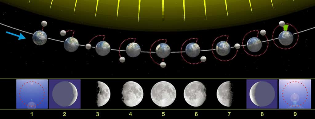 Les différentes phases de la Lune vues de l'hémisphère Nord avec sa révolution autour de la Terre. © Orion 8, <em>Wikimedia Commons</em>, CC by-sa 3.0