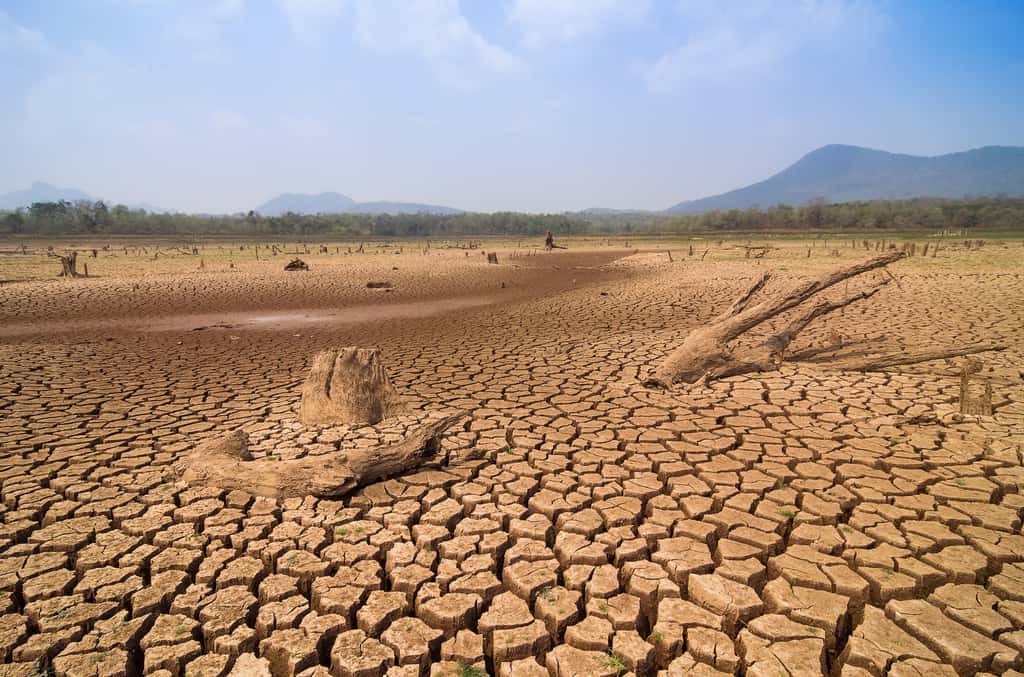  Lors d'une phase El Niño, l'ouest américain souffre moins de la sécheresse. © 24Novembers, Adobe Stock