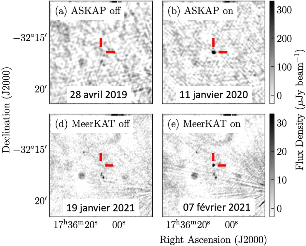Les images de la première ligne montrent la détection par Askap du signal J173608.2−321635, à la fréquence 888 MHz (voir cadran b), et celles de la seconde ligne révèlent une détection similaire à 1.29 GHz grâce à MeerKAT (voir cadran e). Les échelles de couleurs sont les mêmes pour toutes ces images et correspondent à la densité de flux émis par la source inconnue. © Wang et <em>al., </em>2021