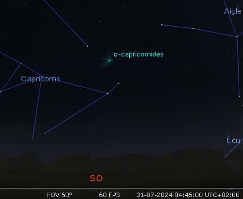 Maximum de l'essaim météoritique des alpha-Capricornides