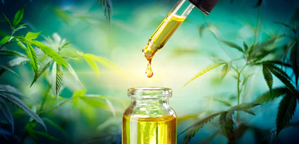 Les huiles de CBD doivent contenir moins de 0,2 % de THC dans leur formulation. © Romolo Tavani, Adobe Stock