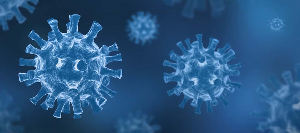 HA15 bloquerait le cycle de réplication du coronavirus. © Jeromecronenberger, Adobe Stock