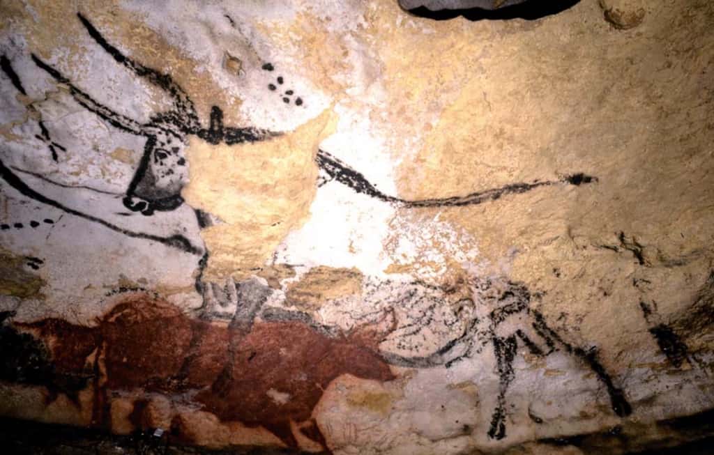 Pourquoi les peintures et gravures de la grotte de Lascaux nous touchent-elles autant ? Ici, le quatrième taureau visible dans la fameuse « salle des taureaux », sur le panneau de l’ours, près de l’entrée. La peinture de cet auroch noir s’étend sur 5,6 mètres, depuis l’extrémité de ses cornes jusqu’à sa queue. Différentes techniques ont été employées pour exécuter cette œuvre, l’une des plus emblématiques du site. Un signe en forme d'étoile est représenté devant l’animal. Les points alignés devant et aussi au-dessus de son épaule intriguent également et sont sujets à de multiples interprétations. Quel est le sens de ces peintures ? Y a-t-il des allusions à des groupes d’étoiles telles les Pléiades, que l’on peut observer justement dans la constellation du Taureau ? © MCC