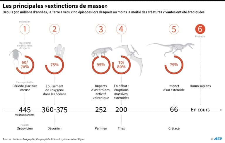 Les principales extinctions de masse depuis l’apparition de la vie sur Terre. © Alain Bommenel, AFP