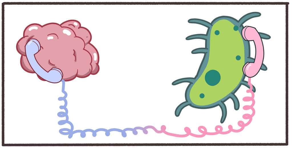 Notre microbiote influence-t-il considérablement notre santé mentale ? © Steven, Adobe Stock 