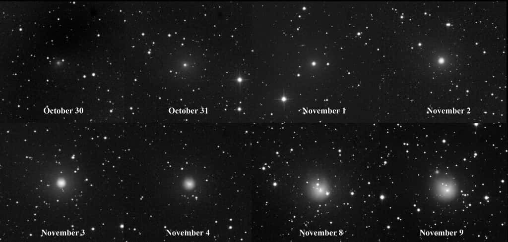 Évolution de la comète 12P/Pons-Brooks au début du mois de novembre. Elle montre une nette augmentation de sa luminosité. © Eliot Herman