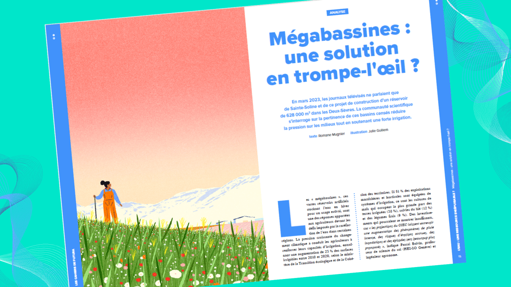 Mégabassinnes : une solution en trompe-l'oeil ? - Cahier de Futura n°3