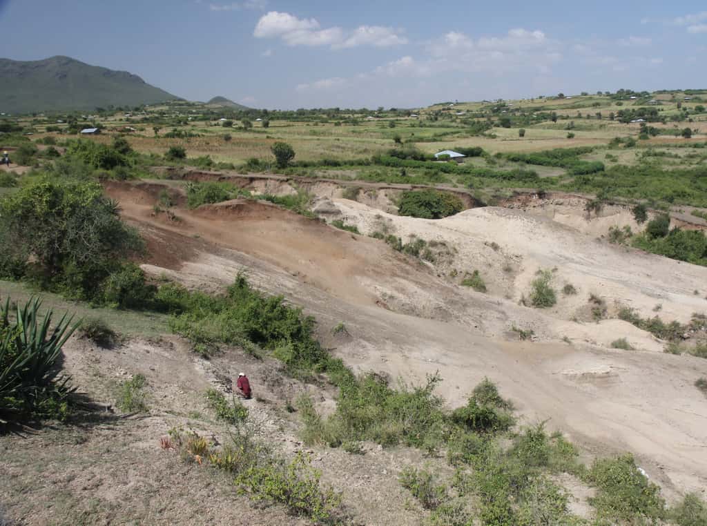 Le site de Nyayanga en 2014, avant les toutes premières campagnes de fouille. Les sédiments rougeâtres où seront trouvés les outils oldowayens et les fossiles appartiennent au Pliocène supérieur. © T.W. Plummer, Homa Peninsula Paleoanthropology Project 