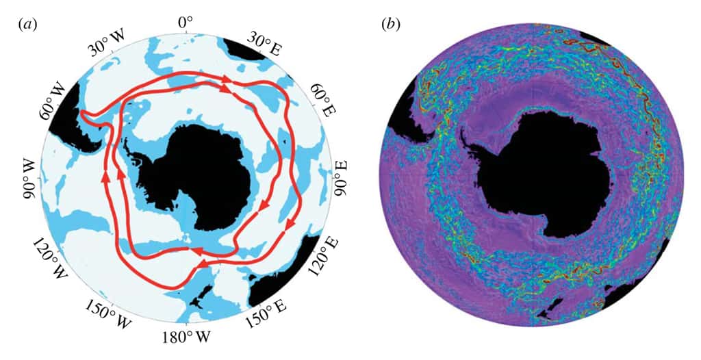 Le Courant Circumpolaire Antarctique (CCA) est le seul courant du globe à se refermer sur lui-même dans une boucle circumpolaire. Cette caractéristique fait de lui le courant le plus important du système climatique de la Terre, car il relie les océans Atlantique, Pacifique et Indien. © ESE / Caltech