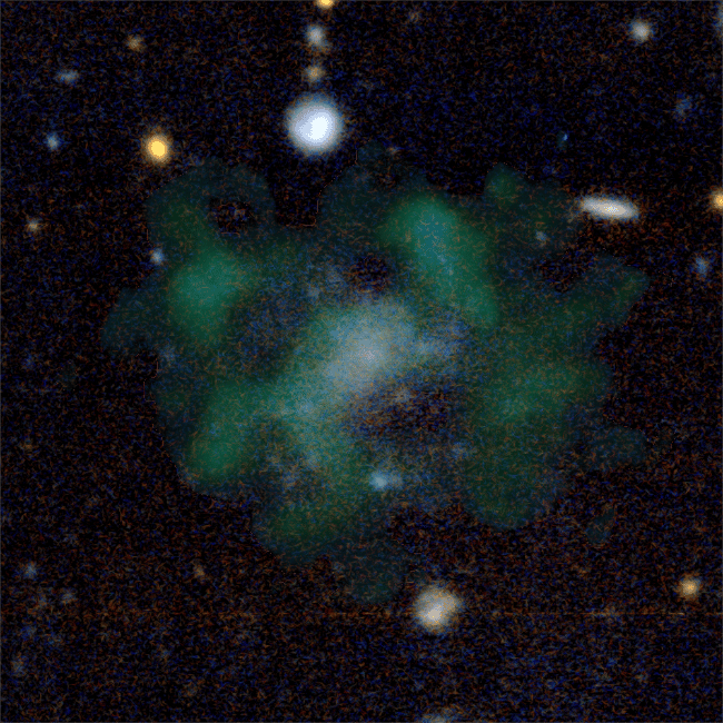 La galaxie AGC 114905. L'émission stellaire de la galaxie est représentée en bleu. Les nuages verts montrent l'hydrogène gazeux neutre. La galaxie ne semble pas contenir de matière noire, même après 40 heures de mesures détaillées avec des télescopes de pointe. © Javier Román & Pavel Mancera Piña, CC By 4.0