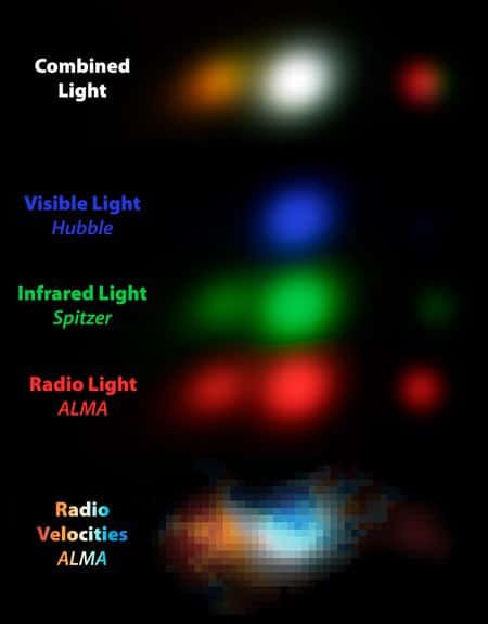DC-818760, ensemble de trois galaxies probablement sur une trajectoire de collision. Comme toutes les galaxies du programme Alpine, il a été imagé par différents télescopes. Cette approche « multilongueurs d'onde » permet aux astronomes d'étudier en détail la structure de ces galaxies. Le télescope spatial Hubble, qui observe en lumière visible (représentée en bleu ici), révèle des régions de formation active d'étoiles non masquées par la poussière ; le télescope spatial Spitzer, qui observe en infrarouge (représenté en vert), montre l'emplacement d'étoiles plus anciennes qui sont utilisées pour mesurer la masse stellaire des galaxies ; et Alma, qui observe dans le domaine radio (représenté en rouge), trace le gaz et la poussière, ce qui permet de mesurer la formation d'étoiles cachée par la poussière. L'image du haut combine la lumière des trois télescopes. La carte des vitesses en bas montre le gaz dans les galaxies tournantes qui s'approche (en bleu) ou s'éloigne (en rouge) de nous. © Gareth Jones & Andreas Faisst (Alpine collaboration) ; Alma (ESO/NAOJ/NRAO); Nasa/STScI ; JPL-Caltech/IPAL'étude du programme Alpine<a title="The ALPINE-ALMA [CII] Survey: data processing, catalogs, and statistical source properties" href="https://ui.adsabs.harvard.edu/abs/2020arXiv200200962B/abstract" target="_blank">Alpine</a> utilise en particulier Alma pour observer la signature de l'ion C<sup>+</sup>, c'est-à-dire du carbone une fois ionisé, à une longueur d'onde de 158 micromètres, dans l'infrarouge lointain. En effet, lorsque la lumière ultraviolette des jeunes étoiles frappe des nuages de poussière, du C<sup>+</sup> est produit. Lorsque les galaxies tournent sur elles-mêmes, les ions C<sup>+</sup> présents dans le gaz de la galaxie tournent avec. En mesurant le décalage Doppler des raies d'émission de ces ions, il est alors possible de déterminer la rotation de ces galaxies. L'équipe du programme <a title="The ALPINE–ALMA [C II] Survey: Multiwavelength Ancillary Data and Basic Physical Measurements" href="https://authors.library.caltech.edu/102325/1/Faisst_2020_ApJS_247_61.pdf" target="_blank">a ainsi étudié</a> 118 galaxies lointaines, non seulement pour mesurer leur rotation, mais aussi pour en déterminer d'autres caractéristiques comme la densité de gaz et le nombre d'étoiles formées.Des disques en rotation lointainsLe relevé a permis de révéler des galaxies déformées en rotation en train de fusionner, ainsi que des galaxies qui semblent avoir une forme spirale parfaitement lisse. Environ 15 pour cent des galaxies observées avaient une rotation douce et ordonnée, telle qu'attendue de galaxies spirales. Cependant, les auteurs notent que les galaxies pourraient ne pas être des galaxies spirales mais des disques en rotation avec des grumeaux. Des observations avec la prochaine génération de télescopes spatiaux permettront de déterminer la structure détaillée de ces galaxies.Andreas Faisst, scientifique à l'<em>Infrared Processing and Analysis Center</em> (Ipac, un centre d'astronomie à Caltech) et un des chercheurs principaux d'Alpine, précise : « <em>Nous trouvons des galaxies en rotation bien ordonnées à ce stade très précoce et assez turbulent de notre Univers</em>. <em>Cela signifie qu'elles ont dû se former par un processus en douceur de collecte de gaz et ne sont pas encore entrées en collision avec d'autres galaxies, comme d'autres galaxies l'ont fait. </em>».Collage de 21 galaxies imagées par le programme Alpine. Les images sont basées sur la lumière émise par le C<sup>+</sup>. Ces données montrent la variété des différentes structures galactiques déjà en place moins de 1,5 milliard d'années après le Big Bang (notre univers a 13,8 milliards d'années). Certaines de ces images contiennent en fait des galaxies en train de fusionner : par exemple, dans la rangée du haut, le deuxième objet en partant de la gauche est en fait trois galaxies en train de fusionner. D'autres galaxies semblent être plus harmonieusement ordonnées et pourraient être des spirales : un exemple clair est la galaxie complètement à gauche dans la deuxième rangée. Notre galaxie, la Voie lactée, est montrée à l'échelle pour aider à visualiser la petite taille de ces jeunes galaxies. La barre en bas à droite correspond à 30 kiloparsecs, soit environ 100.000 années-lumière. © Michele Ginolfi (Alpine collaboration) ; Alma (ESO/NAOJ/NRAO) ; Nasa/JPL-Caltech/R. Hurt (Ipac)En combinant les données d'Alma aux mesures d'autres télescopes, dont le télescope Spitzer <a title="Spitzer : fin d'une mission exceptionnelle qui laisse un immense héritage" href="//www.futura-sciences.com/sciences/actualites/astronomie-spitzer-fin-mission-exceptionnelle-laisse-immense-heritage-19172/">récemment mis hors service</a>, qui ont spécifiquement aidé à mesurer la masse des galaxies, les scientifiques sont mieux en mesure d'étudier comment ces jeunes galaxies évoluent au fil du temps. « <em>Comment les galaxies font-elles pour grossir autant et si rapidement ? Quels sont les processus internes qui les laissent grossir si rapidement ? Ce sont des questions auxquelles Alpine aide à répondre</em> », explique Faisst. « <em>Et avec le <a title="Le télescope spatial James Webb déploie pour la première fois son miroir en conditions quasi réelles" href="//www.futura-sciences.com/sciences/breves/astronautique-telescope-spatial-james-webb-deploie-premiere-fois-son-miroir-conditions-quasi-reelles-1097/">lancement prochain</a> du télescope spatial James-Webb de la Nasa [et ESA et ASC], nous pourrons suivre les galaxies pour en apprendre encore plus</em>. »
