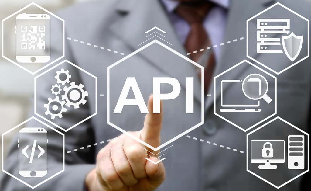 API est l'acronyme d'<em>Application Programming Interface. © </em>Wladimir1804, Adobe Stock