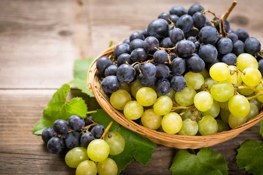 De couleur noir ou blanc, savourez ces grains de raisin juteux. © pilipphoto, Adobe Stock
