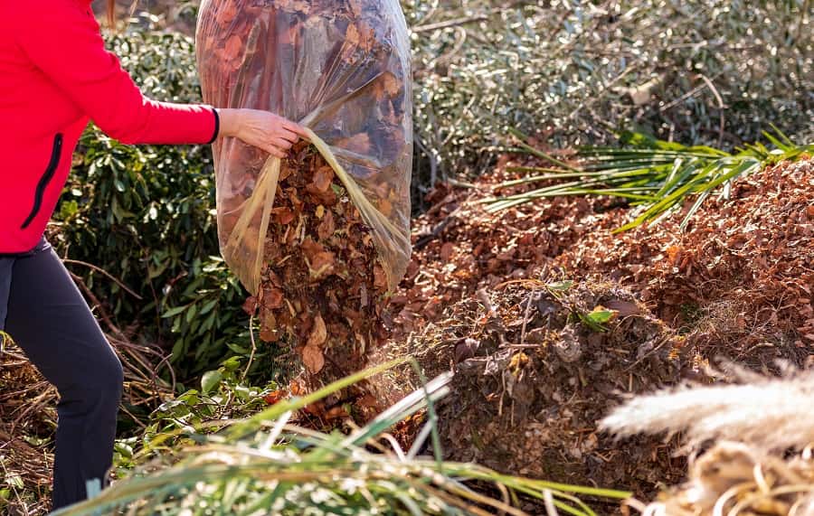 Réserve de feuilles mortes pour le compost ou le terreau. © trattieritratti, Adobe Stock