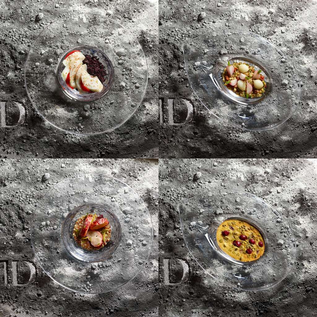 Quelques exemples de plats festifs qu'emporte Thomas Pesquet à bord de la Station spatiale internationale. De gauche à droite et de haut en bas : <em>Cabillaud au riz noir de Camargue et piquillos ; Sarrasin au tandoori, radis et oignons grelots ; Homard breton, quinori bio aux algues, condiment citron de Menton ; Clafoutis à la pistache et griottes.</em> © Philippe Vaurès Santamaria