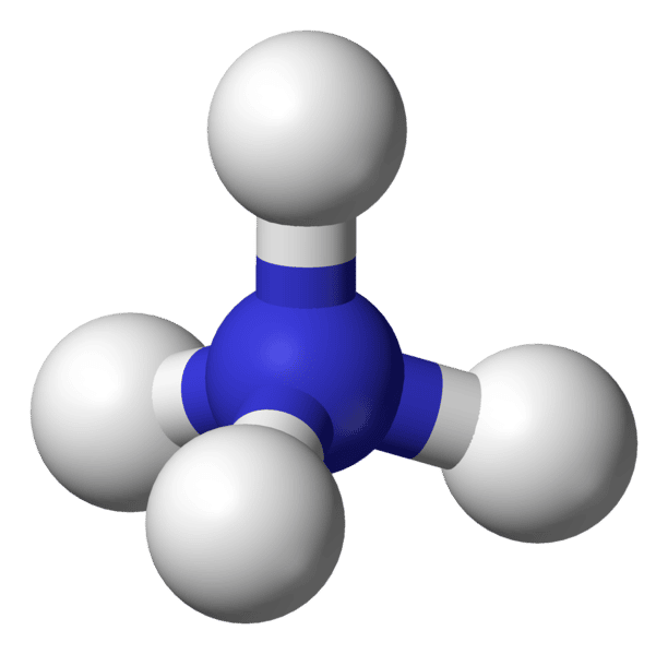 L’ion ammonium comprend un atome d’azote et quatre d’hydrogène. © Wikimedia Commons, DP