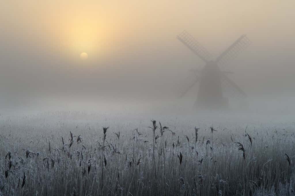 Un paysage de la campagne anglaise sous un pâle soleil éteint par le brouillard. Comment ne pas penser à Turner et à <em>Tess</em> de Roman Polanski ? © Andrew Bailey, <em>Royal Photographic Society</em>