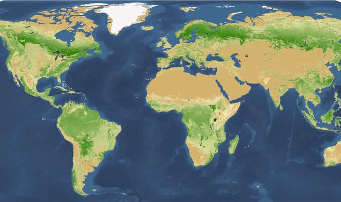 Les forêts mondiales sont très bien repérées par satellites mais le comptage individuel des arbres est en revanche très difficile. Il faut confronter ces données venues de l’espace avec des observations de terrain. © Université de Yale